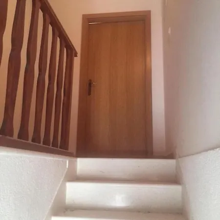 Vanda Drače